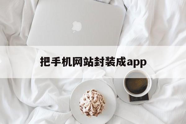 包含把手机网站封装成app的词条  第1张