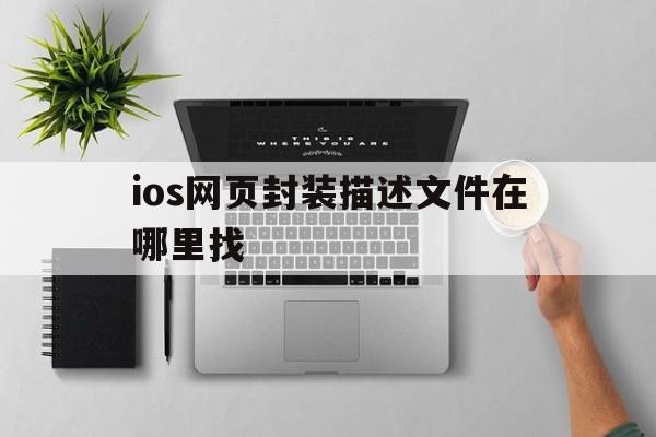 ios网页封装描述文件在哪里找 - APK报毒处理平台-apk防红链接-防封链接-安卓过毒免杀-稳定不掉签名TG:@AICDN8  第1张