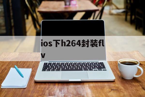 关于ios下h264封装flv的信息  第1张