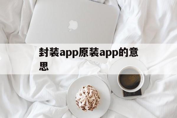 封装app原装app的意思 - APK报毒处理平台-apk防红链接-防封链接-安卓过毒免杀-稳定不掉签名TG:@AICDN8  第1张