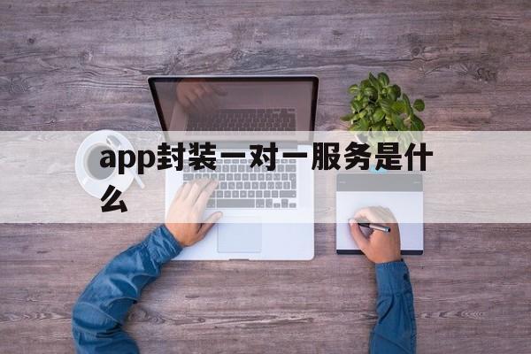 app封装一对一服务是什么 - APK报毒处理平台-apk防红链接-防封链接-安卓过毒免杀-稳定不掉签名TG:@AICDN8  第1张