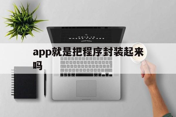 app就是把程序封装起来吗 - APK报毒处理平台-apk防红链接-防封链接-安卓过毒免杀-稳定不掉签名TG:@AICDN8  第1张