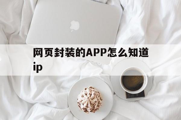 包含网页封装的APP怎么知道ip的词条  第1张