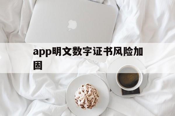 app明文数字证书风险加固 - APK报毒处理平台-apk防红链接-防封链接-安卓过毒免杀-稳定不掉签名TG:@AICDN8  第1张