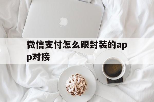 微信支付怎么跟封装的app对接 - APK报毒处理平台-apk防红链接-防封链接-安卓过毒免杀-稳定不掉签名TG:@AICDN8  第1张