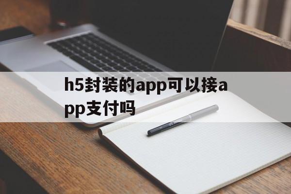 包含h5封装的app可以接app支付吗的词条  第1张