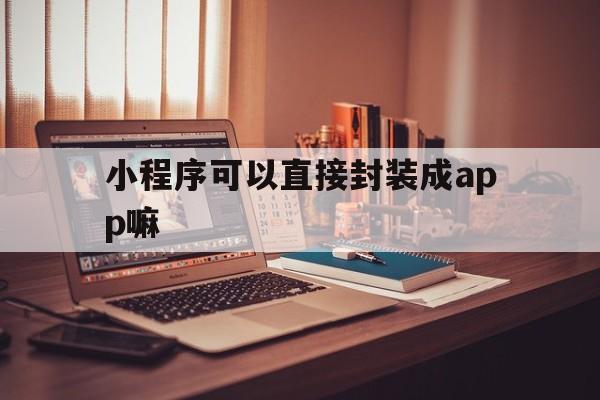 小程序可以直接封装成app嘛 - APK报毒处理平台-apk防红链接-防封链接-安卓过毒免杀-稳定不掉签名TG:@AICDN8  第1张