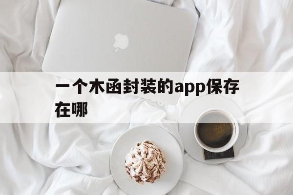 一个木函封装的app保存在哪 - APK报毒处理平台-apk防红链接-防封链接-安卓过毒免杀-稳定不掉签名TG:@AICDN8  第1张