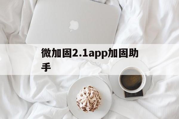 微加固2.1app加固助手的简单介绍  第1张