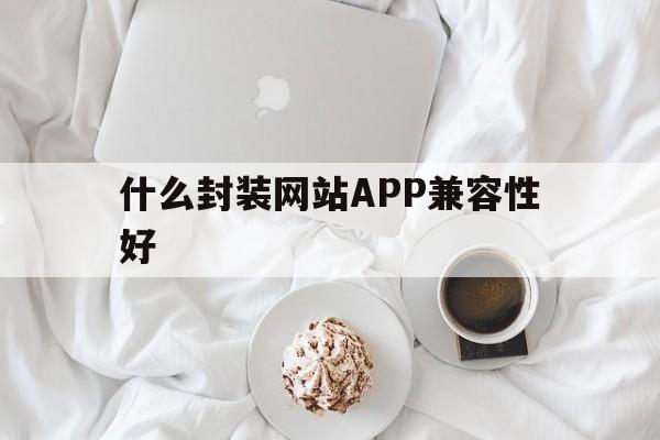 什么封装网站APP兼容性好 - APK报毒处理平台-apk防红链接-防封链接-安卓过毒免杀-稳定不掉签名TG:@AICDN8  第1张