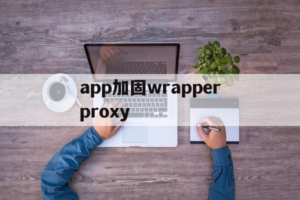 关于app加固wrapperproxy的信息  第1张