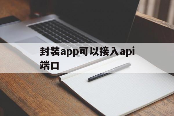 封装app可以接入api端口的简单介绍  第1张