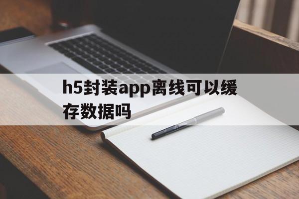 h5封装app离线可以缓存数据吗 - APK报毒处理平台-apk防红链接-防封链接-安卓过毒免杀-稳定不掉签名TG:@AICDN8  第1张