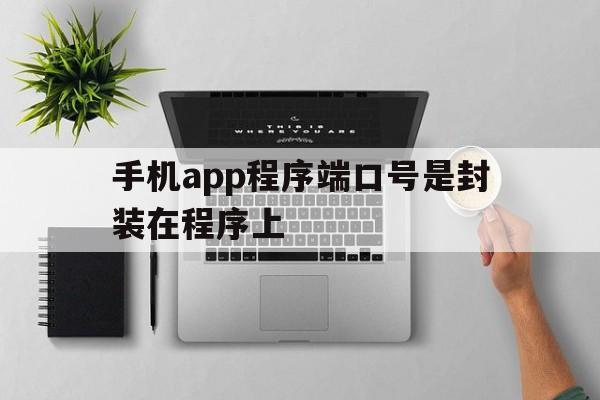 手机app程序端口号是封装在程序上 - APK报毒处理平台-apk防红链接-防封链接-安卓过毒免杀-稳定不掉签名TG:@AICDN8  第1张