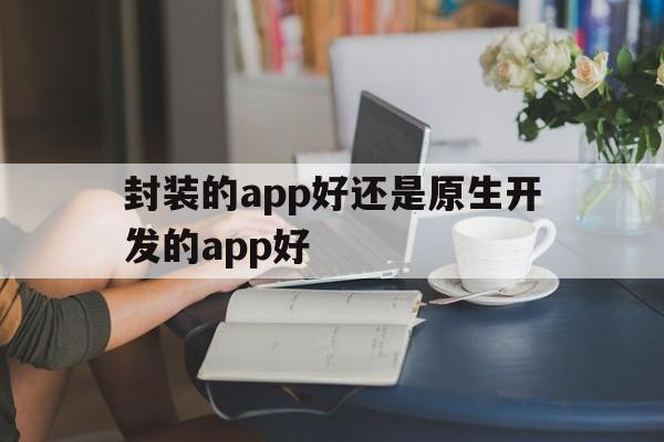 封装的app好还是原生开发的app好 - APK报毒处理平台-apk防红链接-防封链接-安卓过毒免杀-稳定不掉签名TG:@AICDN8  第1张