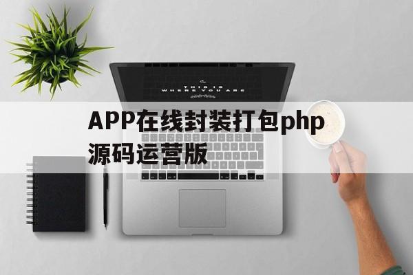 APP在线封装打包php源码运营版 - APK报毒处理平台-apk防红链接-防封链接-安卓过毒免杀-稳定不掉签名TG:@AICDN8  第1张