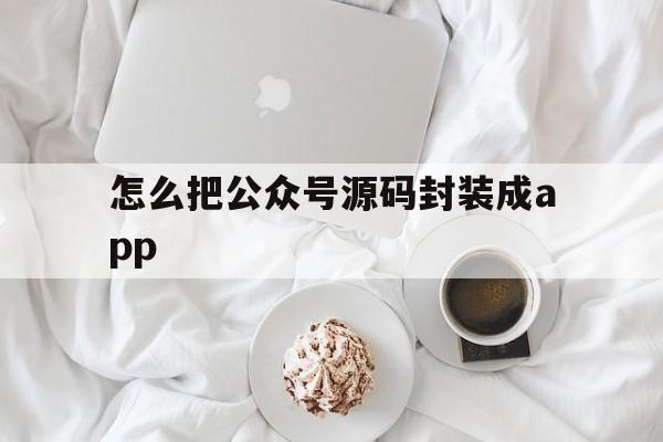 关于怎么把公众号源码封装成app的信息  第1张