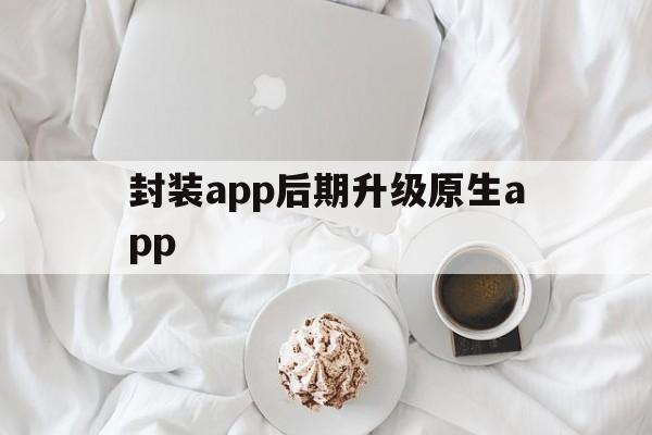 封装app后期升级原生app的简单介绍  第1张