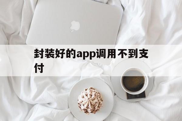 封装好的app调用不到支付 - APK报毒处理平台-apk防红链接-防封链接-安卓过毒免杀-稳定不掉签名TG:@AICDN8  第1张